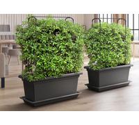 Gardenico Magnus Stone Grey Planter Self Irrigating Mobile Kit 800mm - Size: 38 x 78cm - Wilko