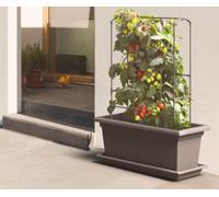 Swift 800mm Magnus Planter, Trough Flowerpot - Self-Watering Mobile Living Wall Kit With Vermiculite - W79 D38 H39, 78L - Anthracite