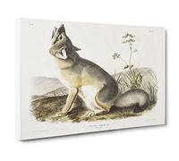 Swift Fox By John Woodhouse Audubon Canvas Print | Gallery Wrapped 30mm Frame Wall Art | 30x20 inches | Ready to Hang | Retro Animals Picture | Living Room Bedroom Lounge Office