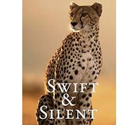 Swift & Silent