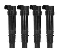 Swiixxer 4Pcs Motorcycle Ignition Coil Stick Fit Ignition Coil for ZX636 ZX6R ZXR9F R9F 636 05-16 F6T570
