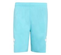 Swim shorts adidas Icon 8" 3 Stripes 3XL
