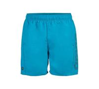 Arena Men's Fundamentals Logo Beach Boxer