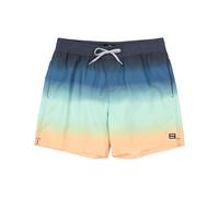 Swim shorts Billabong All Day Fade S