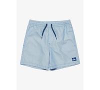 Quiksilver Everyday Deluxe Volley 14 Swimming Shorts