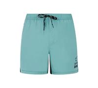 Protest Ben Swimming Shorts Green XS Men