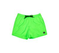 Quiksilver Everyday Solid Volley 15´´ Swimming Shorts Green 2XL Men