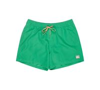 Quiksilver Swim Shorts Everyday Volley 15 Mens Green