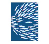 Swimming Against The Shoal Nautical Exhibition Art Print, Vintage Botanical Prints, Retro Sealife Oceanography Illustration Wall Art, Nature Bathroom Home Decor, A3 (Print Only) - 42x29.7cm