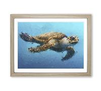Swimming Sea Turtle In Abstract Modern Art Framed Print | A4 Oak Framed Wall Art | Ready to Hang | Abstract Animal Picture | Living Room Bedroom Lounge Office