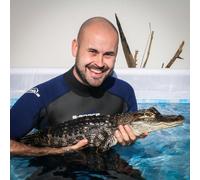 Swimming with Crocodiles for Two And Lunch - Gift Experience