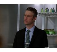 Swimming With the Sharks