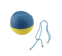 Swing Trainer Aid Ball with Dual Color Foam Ball for Arm Connection Swing Training, Tackles Common Issues, for Fixing Flying Elbow and Scooping, Premium PU Foam Material (L)