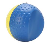 Swing Trainer Aid Visual Feedback Tool for Compact Movements with Adjustable Lanyard (Large)