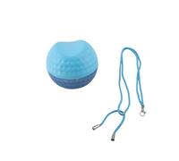 Swing Trainer Foam Ball with Adjustable Rope for Correcting Swing Posture and Fixing Flying Elbow for Golf Enthusiasts PU Foam (Small Diameter: 28mm/1.1in)