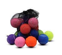 Swingers 20 Pack Tennis Balls,Training Exercise Balls for Pet Dog, High Elasticity Practice Tennis Balls for Beginner, with Mesh Carry Bag Easy to Transport (Multicolor)