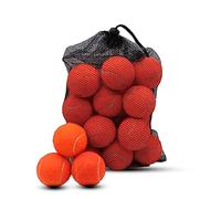 Swingers 20 Pack Tennis Balls,Training Exercise Balls for Pet Dog, High Elasticity Practice Tennis Balls for Beginner, with Mesh Carry Bag Easy to Transport (Orange)