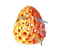 Swirge Shrimp Dome Hide, Shrimp Hides for Aquarium, Betta Fish Hideout with Suction Cup, Betta Habitat Tank Ornament Accessories, Aquarium Decor for Small Fish Guppy Hiding Resting (Gold Red)