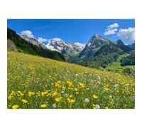 Swiss Alps Backdrop Gorgeous Meadows Blooming Flowers Snow-Capped Mountain Tops Photography Background Summer Sunny Alps Mountains Panorama Landscape Backdrop for Hiking Travel Vacation Props 20x10ft