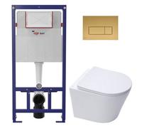 Swiss Aqua Technologies Eco 2L Toilet Frame + Swiss Aqua Technologies Rimless Wall-Hung Toilet + Matt Gold Plate (Stestinwr06-In)