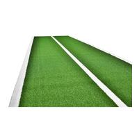 Swiss Barbell Gym Tracks, Green with white stripes / 2m x 20m / 3 Lines (Middle + Outside)