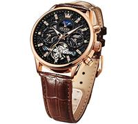 Swiss Brand Automatic Self-Wind Men Watch Mechanical Twelve Knights Luxury Dress Waterproof Silver Two Tone Men Wrist Watches, Brown Leather & Black Face