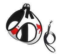 Swiss Flag Map Print Dog Harness Small Sized And Leash Set, Step In Soft Light Puppy Vest Breathable Mesh Pet Harness