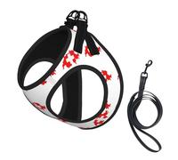 Swiss Flag Map Print Dog Harness with Leash Set with Thickened Padded Vest for Extra-Small/Small Medium Dogs