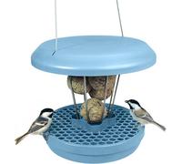 Swissinno Lucerne Bird Feeder For Fat Balls Light Blue