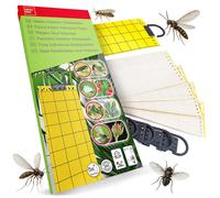SWISSINNO Yellow Sticky Fly Traps - 5Pack Adhesive Panels for Flying Insects ...