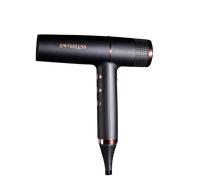 SwissLiss The Cloud Edition Hair Dryer
