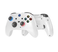 RUEIURI Switch Controller, Wireless Bluetooth Game Controller, 2.4Ghz Switch Controller Compatible with PC (Windows 7/8/10), Android, TV Box, iOS,Dual Vibration, Ideal for Gaming Enthusiasts (White)