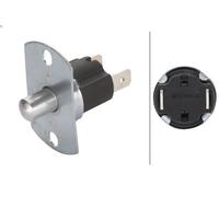 HELLA 6ZF 003 549-021 Switch, door contact - Push control - Number of connectors: 2 - Bolted - Normally Open Contact