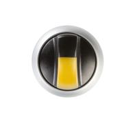 EATON INDUSTRIES RMQ-Titan Selector Switch Front Element - 216829
