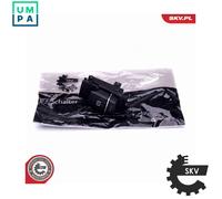 Parking brake switch 96SKV067 ESEN SKV for BMW ALPINA