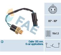 FAE 36610 Temperature Switch, radiator fan