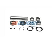 AUGER 70828 Repair Kit, kingpin