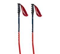 Swix World Cup Pro Super-g Poles