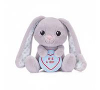 Swizzels Love Hearts "It's A Boy" Baby Benjamin Bunny 7" (18cm) Plush Soft Toy for Newborn Babies