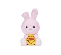 Swizzels Love Hearts 18cm (7-Inch) Baby Bunny Rabbit ‘SOMEBUNNY LOVES YOU’ Plush Soft Toy