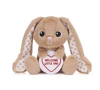 Swizzels Love Hearts 7" (18cm) "Welcome Little One" Bun Bun Baby Bunny Rabbit Plush Soft Toy
