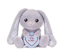 Swizzels Love Hearts "It's A Boy" Baby Benjamin Bunny 7" (18cm) Plush Soft Toy for Newborn Babies