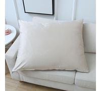 SWJ-swjssb Soft Velvet Pillowcases Rectangle Queen King Size Cushion Covers Set of 2 Decorative Throw Pillow Covers,Cushion Cases with Zipper For Sofa Living Room Couch Bed(Beige,60x80 cm Set of 2)