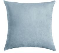 SWJ-swjssb Velvet Decorative Throw Pillow Covers 18x18 Inch,Cushion Covers 45 X 45 CM，Soft Square Cushion Cases With Zipper Modern Interior Washable Pillowcase，for Sofa Bed Car(Light Blue)