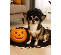 Swooflia Dog Wig - Jackson Black Short Curly Pet Wigs for Large Medium Breed Dogs, Halloween Cosplay Costume Accessories for Weenie Dachshund Corgi Pug Chihuahua Puppy German