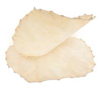 SWOOMEY 2pcs 30cm African Drum Replacement Leather Drum Covers Sheephide Percussion Accessories for Djembe