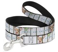 Sword Art Online Pet Leash, Dog Leash, Sword Art Online Asuna Cage Trap Pose and Title Logo White, 6 Feet Long 1.0 Inch Wide