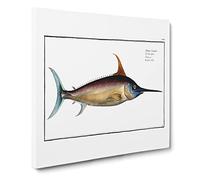 Swordfish by M.E. Bloch Canvas Print | Gallery Wrapped 30mm Frame Wall Art | 20x20 inches | Ready to Hang | Modern Picture | Living Room Bedroom Lounge Office