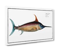Swordfish by M.E. Bloch Canvas Print | Gallery Wrapped 30mm Frame Wall Art | 30x20 inches | Ready to Hang | Modern Picture | Living Room Bedroom Lounge Office