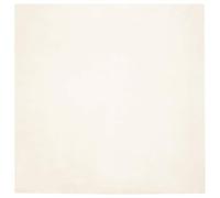 Swpsd Faux Rabbit Fur Rug White 160 x 160 cm Polyester Carpet Model42021620